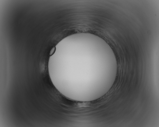 X0000089900134200706281142
