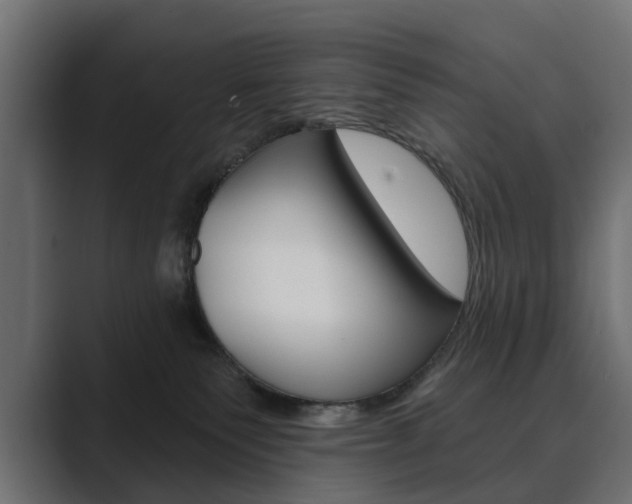 X0000089900135200706281142