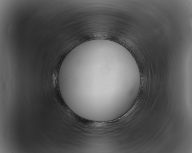 X0000089900142200706281142