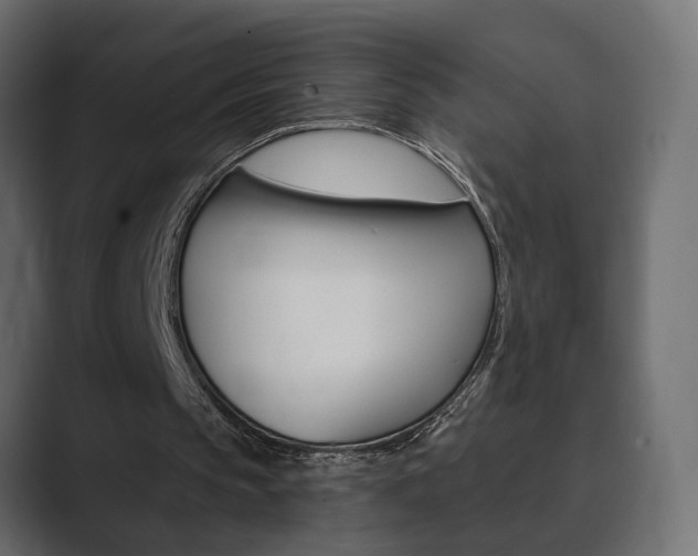 X0000089900145200706281141