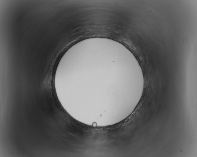 X0000089900146200706281141