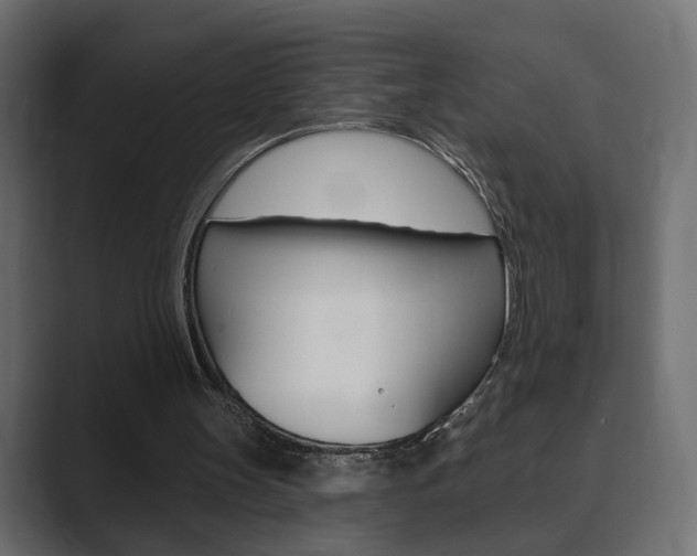 X0000089900147200706281141