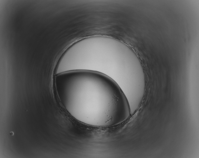 X0000089900148200706281141