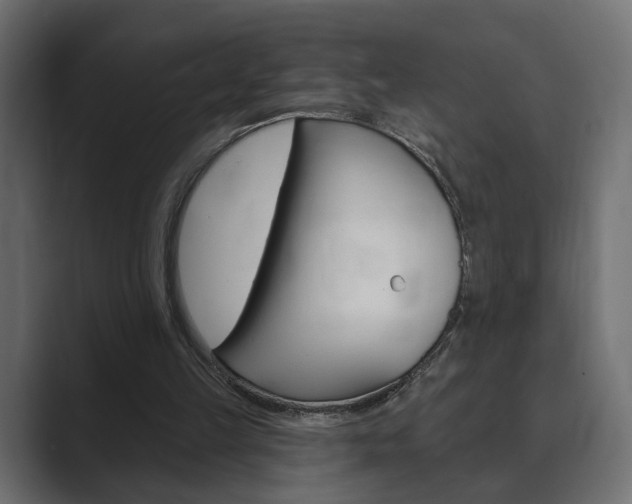 X0000089900149200706281141