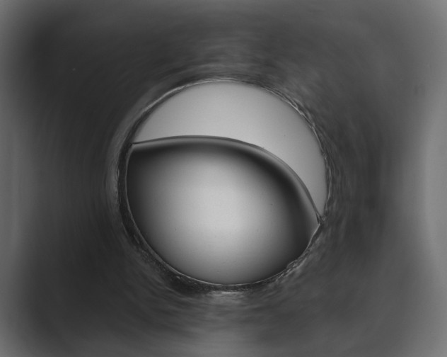 X0000089900150200706281141