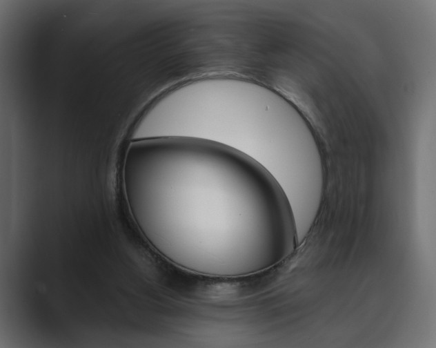 X0000089900156200706281141
