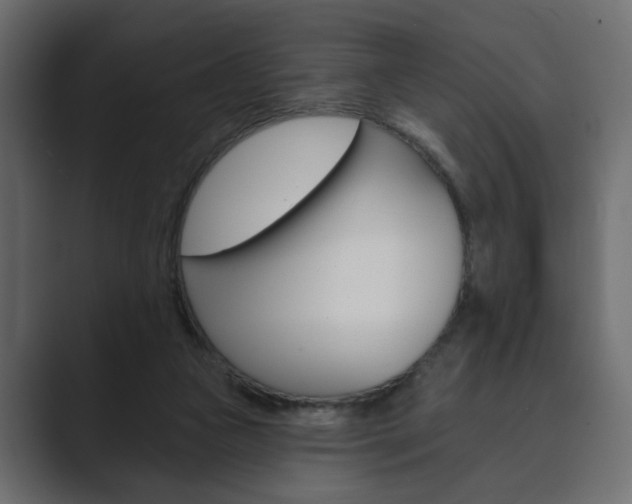 X0000089900161200706281141