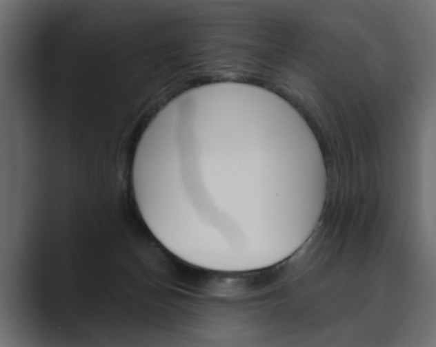 X0000089900174200706281141