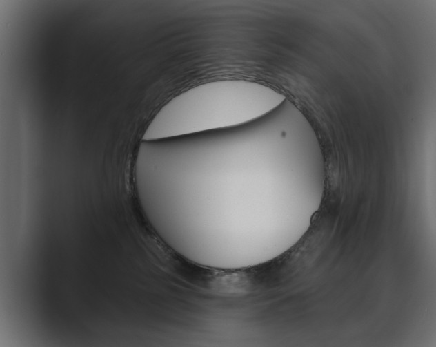 X0000089900185200706281141