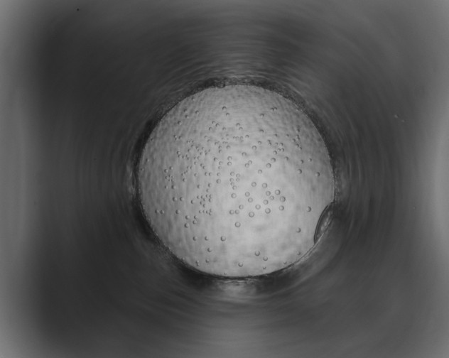 X0000089900187200706281141