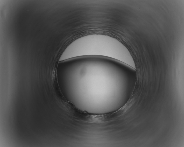 X0000089900188200706281141