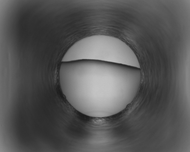 X0000089900189200706281141