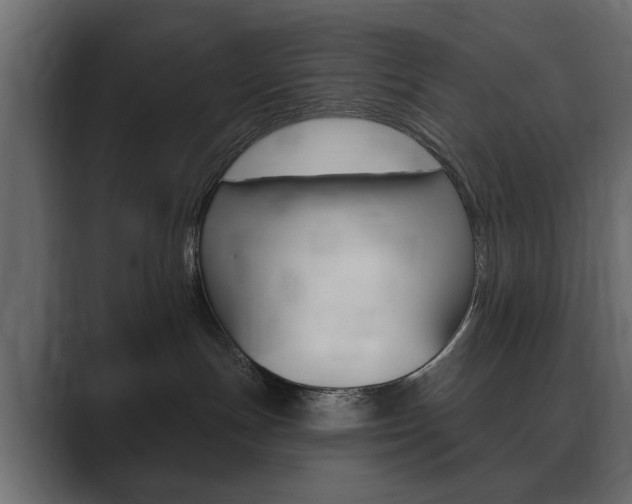 X0000089900191200706281142