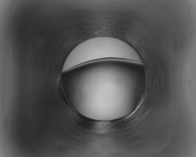 X0000089900192200706281142