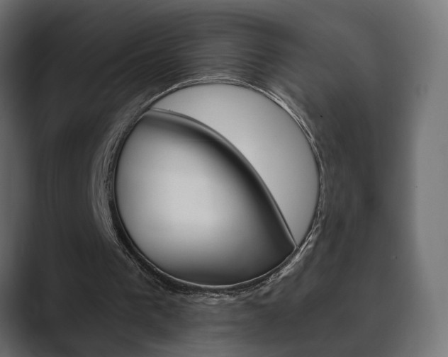 X0000089900193200706281141