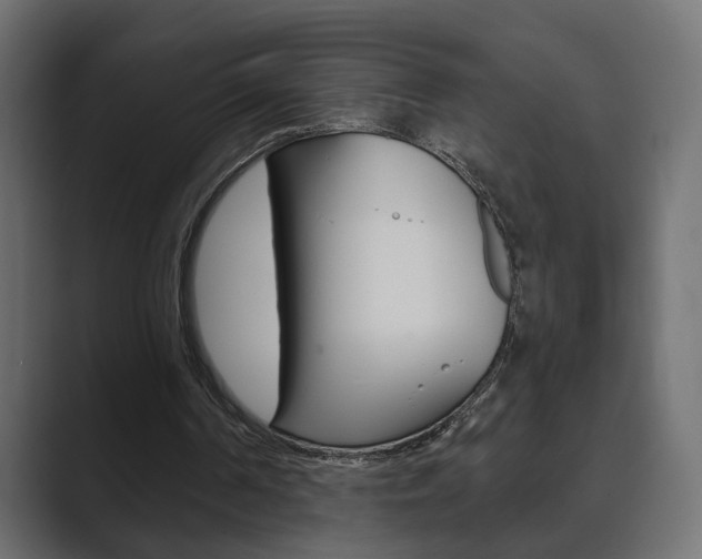 X0000089900194200706281141