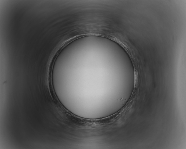 X0000089900195200706281141
