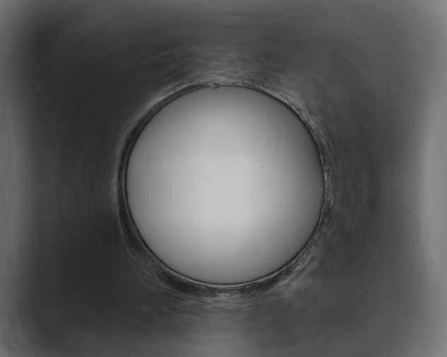 X0000089900196200706281141