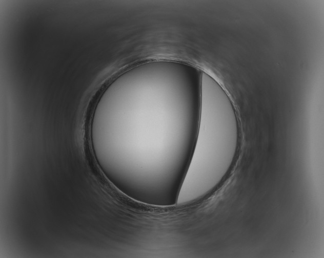 X0000089900199200706281141