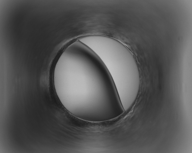 X0000089900200200706281141