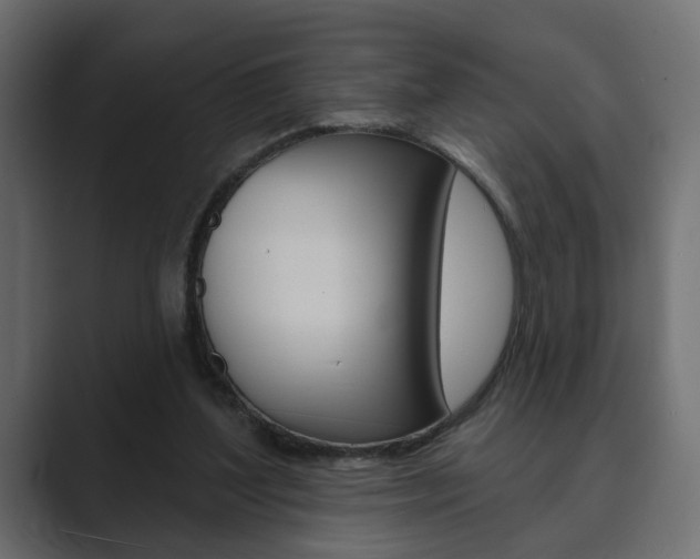 X0000089900204200706281141