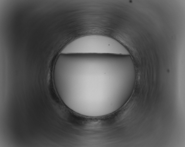 X0000089900206200706281141