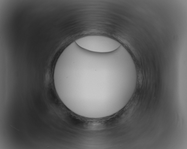 X0000089900208200706281141