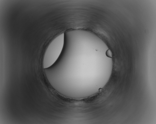 X0000089900210200706281141