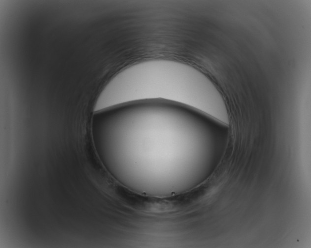 X0000089900215200706281141
