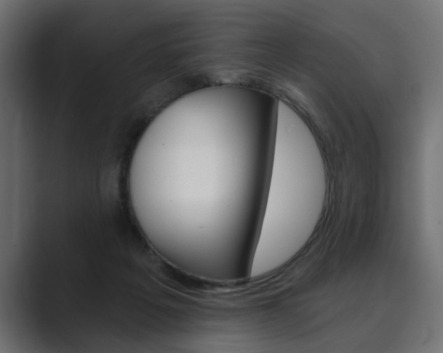 X0000089900217200706281141