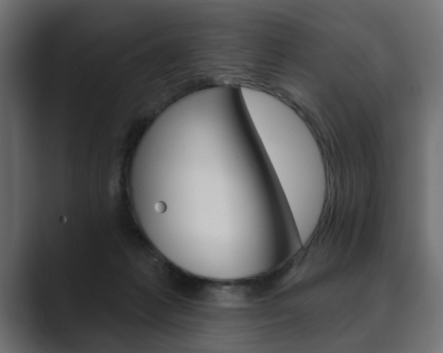 X0000089900221200706281141