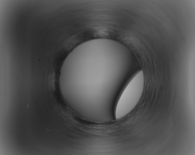 X0000089900223200706281141