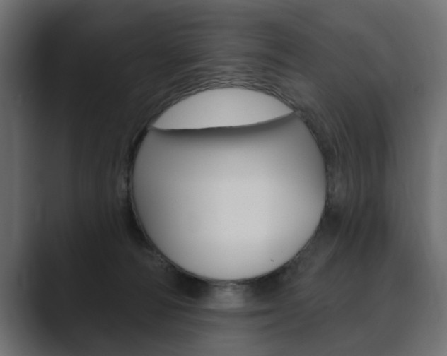 X0000089900226200706281141