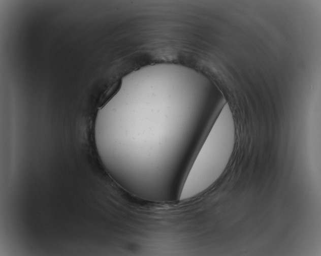 X0000089900229200706281141
