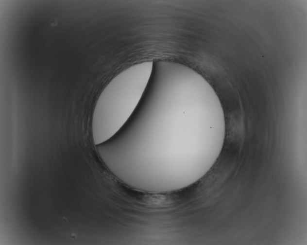X0000089900230200706281141