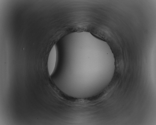 X0000089900231200706281141