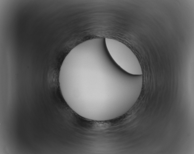 X0000089900234200706281141