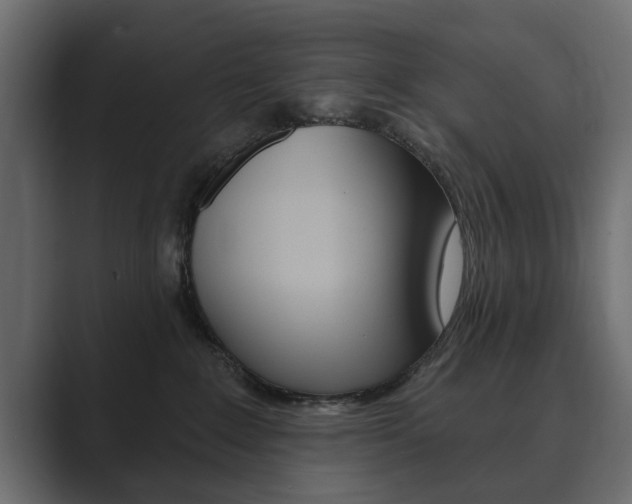 X0000089900235200706281140