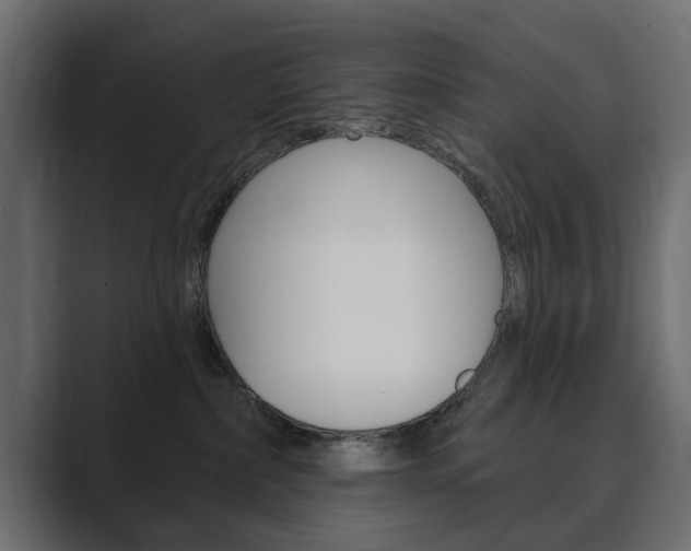 X0000089900236200706281140