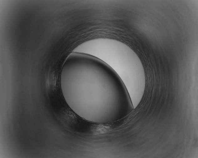 X0000089900239200706281140