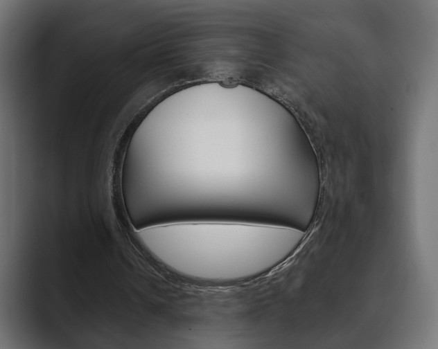 X0000089900242200706281140