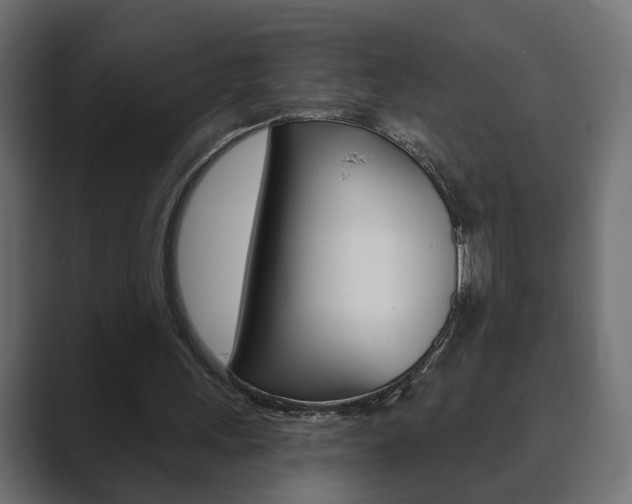 X0000089900243200706281140