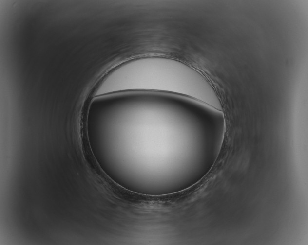 X0000089900244200706281140