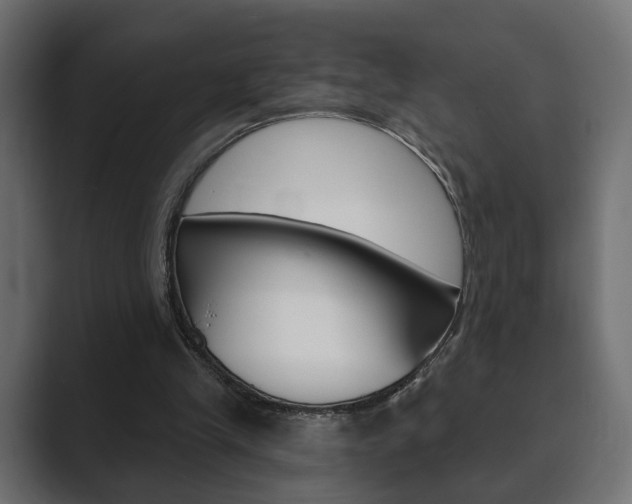 X0000089900245200706281140