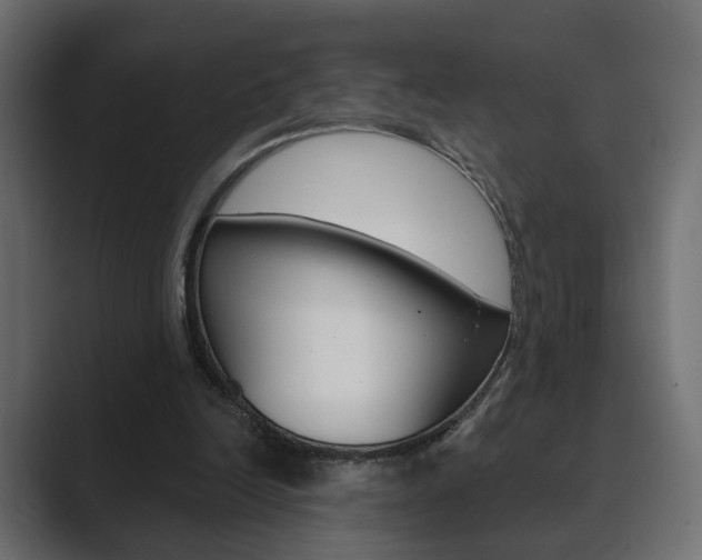 X0000089900246200706281140