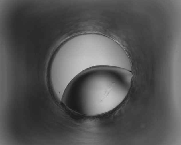 X0000089900248200706281140