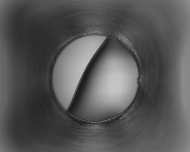 X0000089900249200706281140