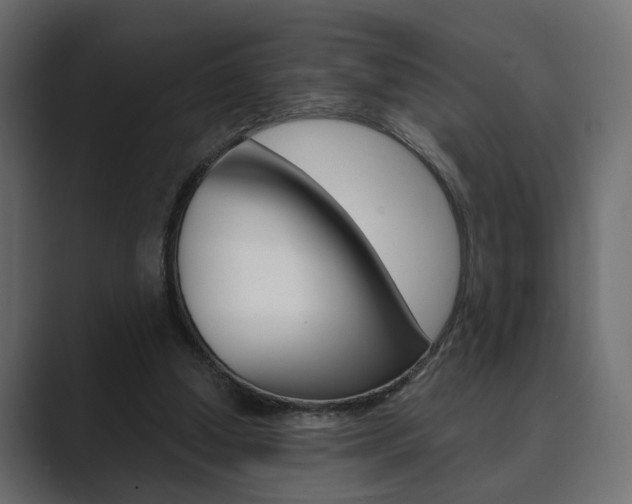 X0000089900250200706281140