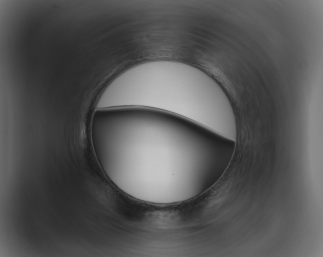 X0000089900251200706281140