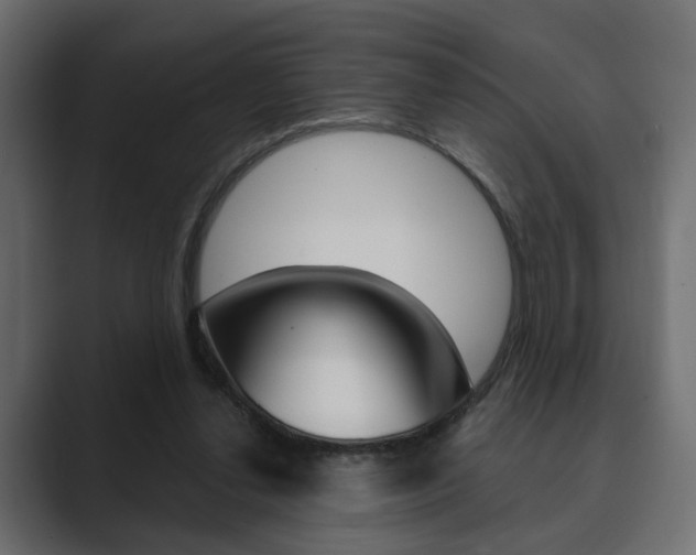 X0000089900252200706281140